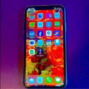 Blue Apple iPhone 10R